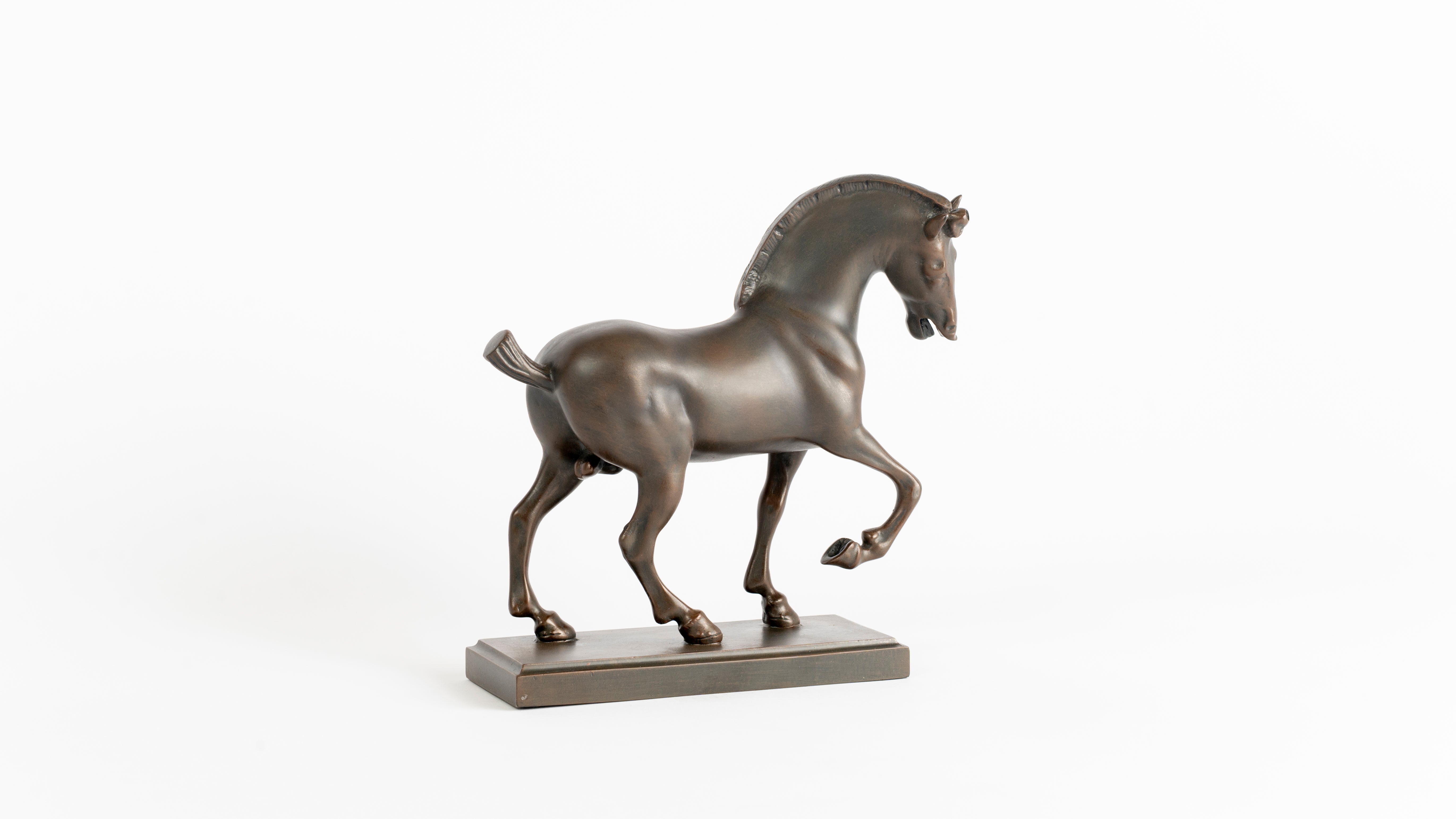 Cavallo - Leonardo da Vinci