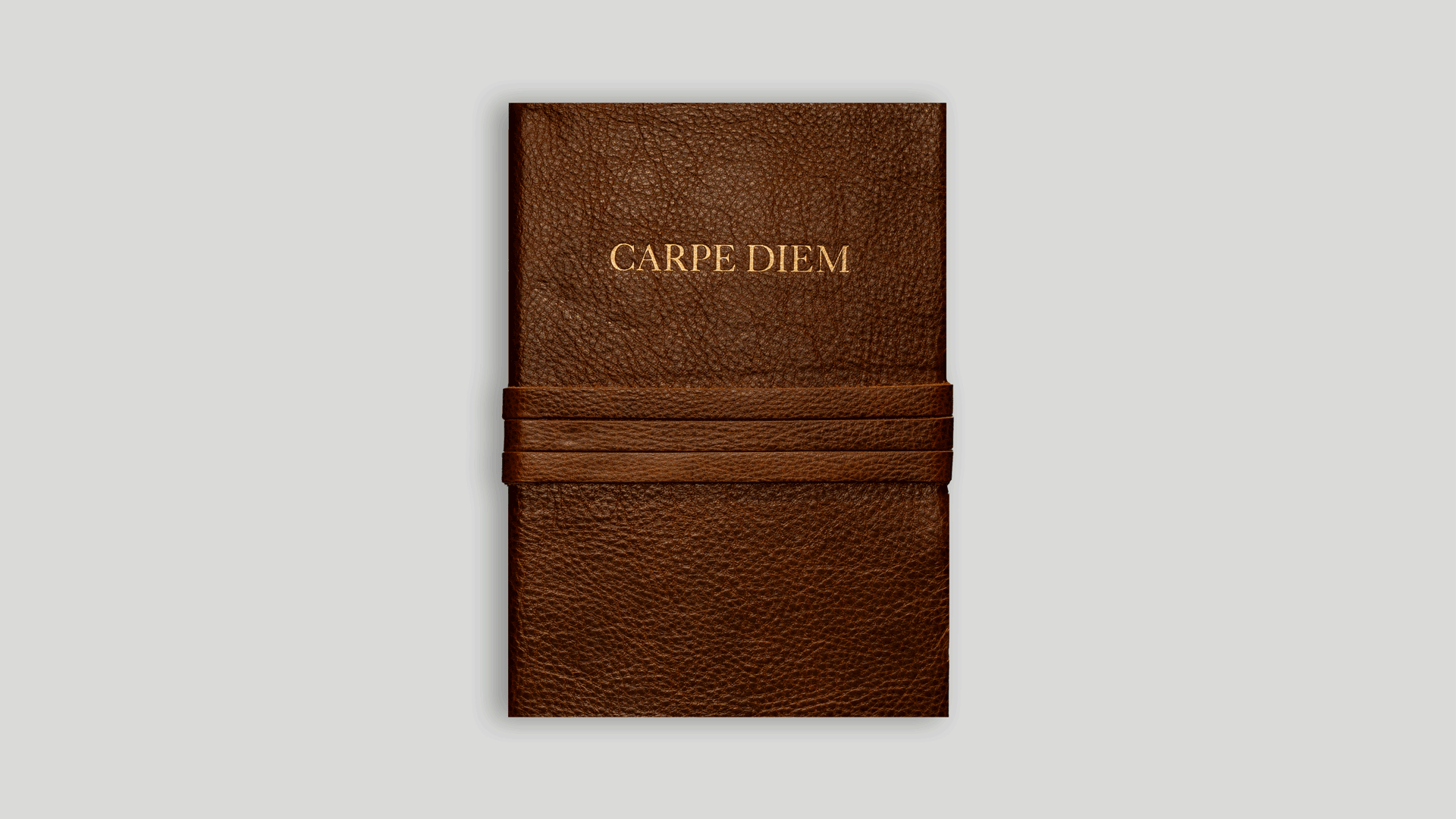 "Carpe Diem" notebook 15x21