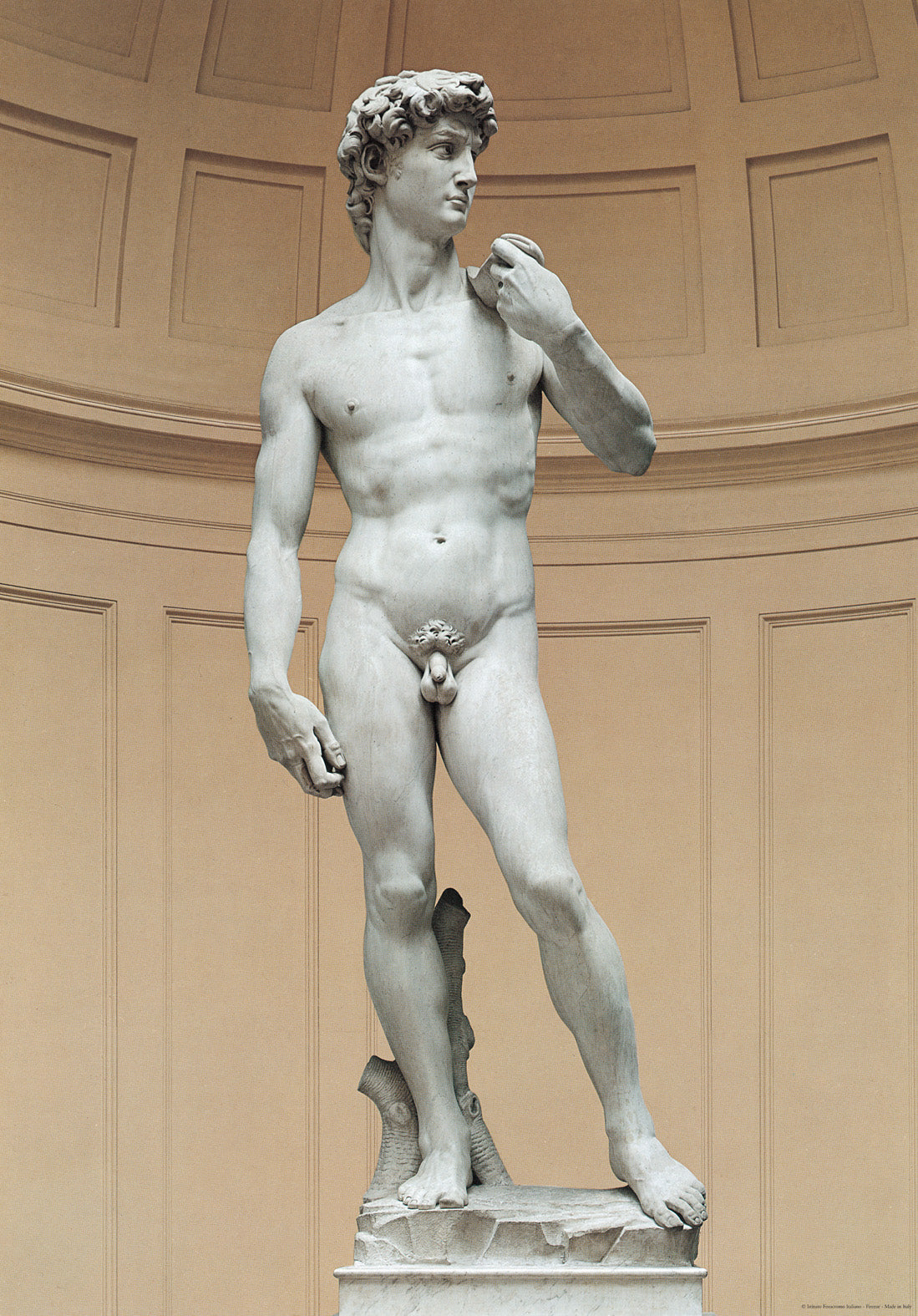 Michelangelo David