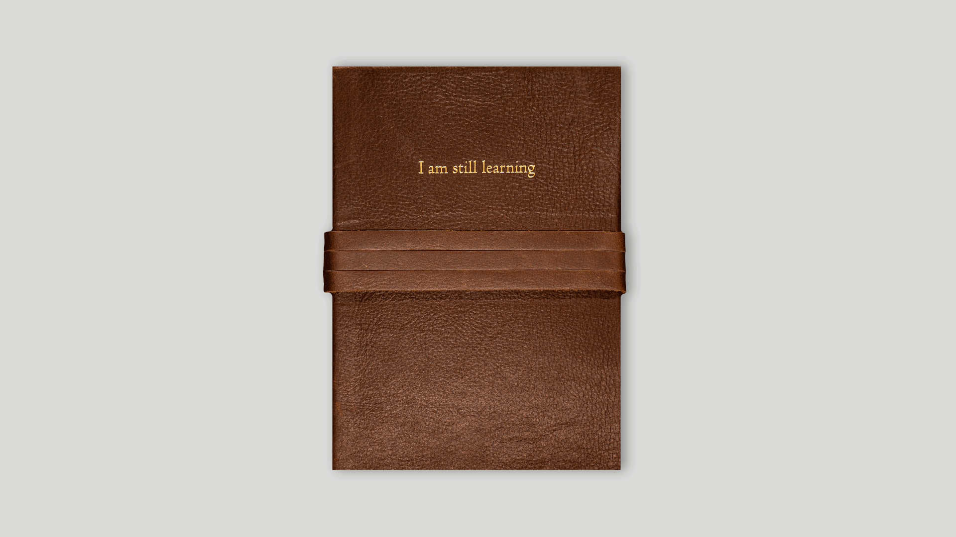 "Carpe Diem" notebook 15x21