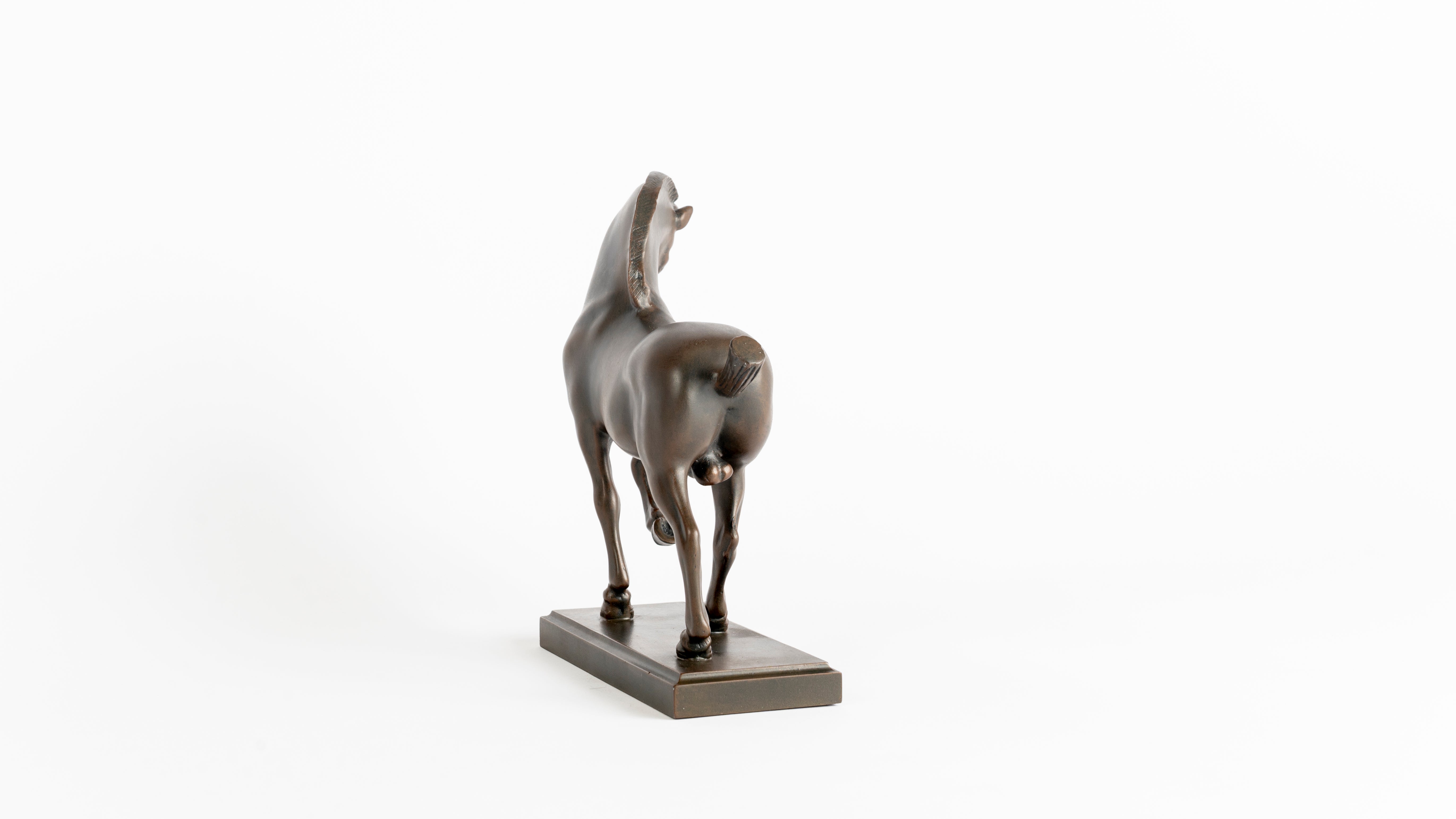Cavallo - Leonardo da Vinci