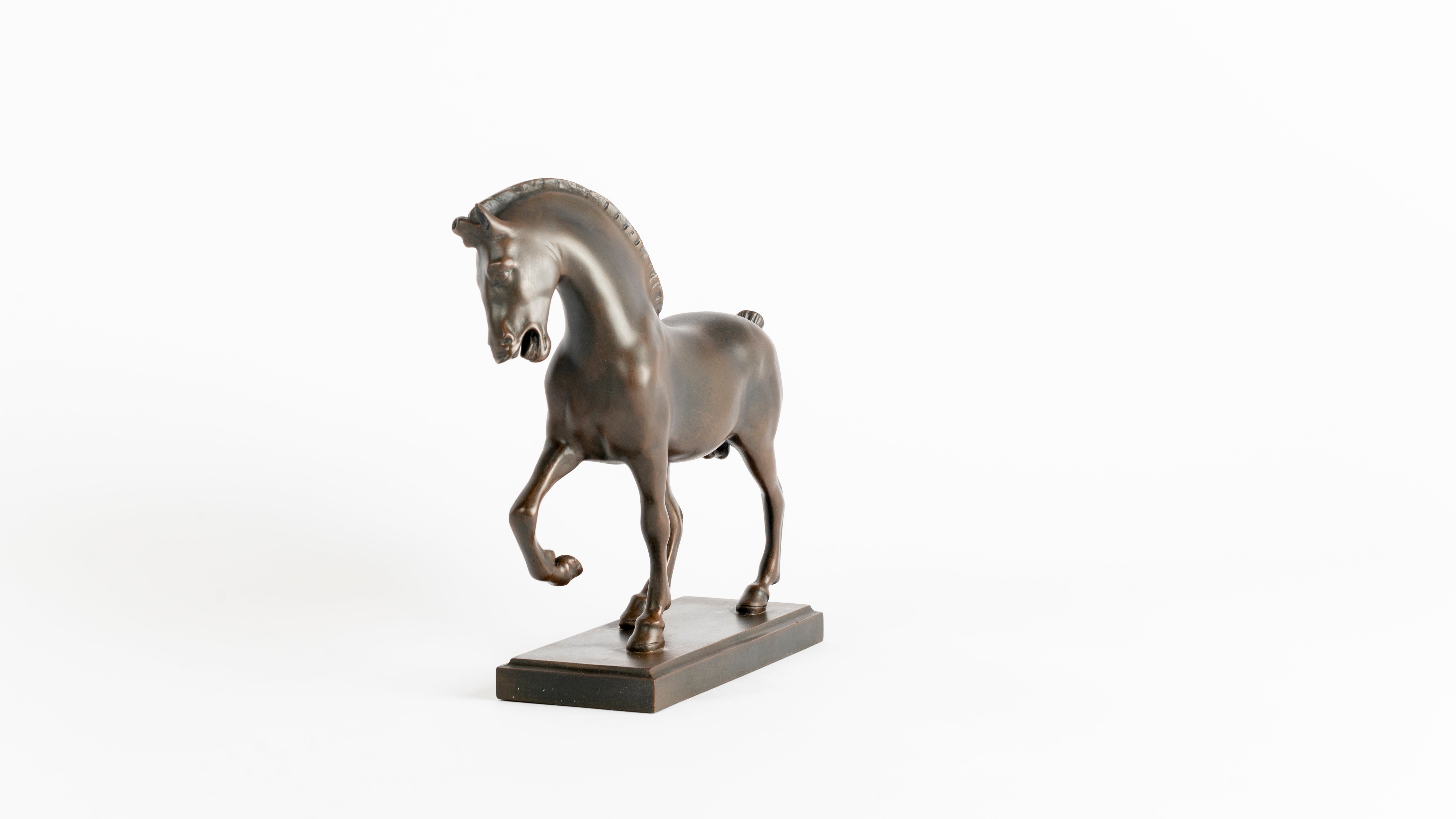 Cavallo - Leonardo da Vinci