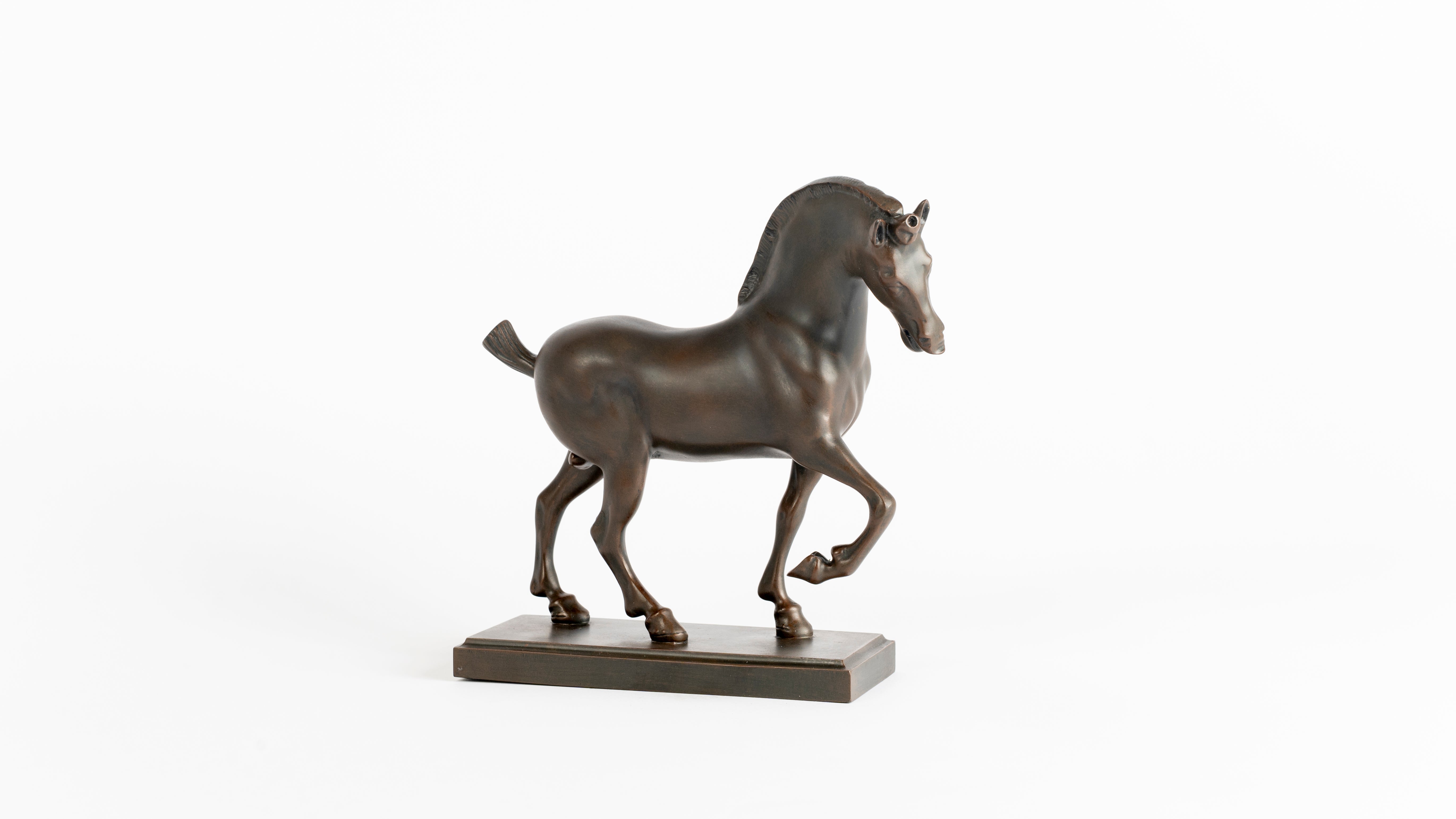 Cavallo - Leonardo da Vinci