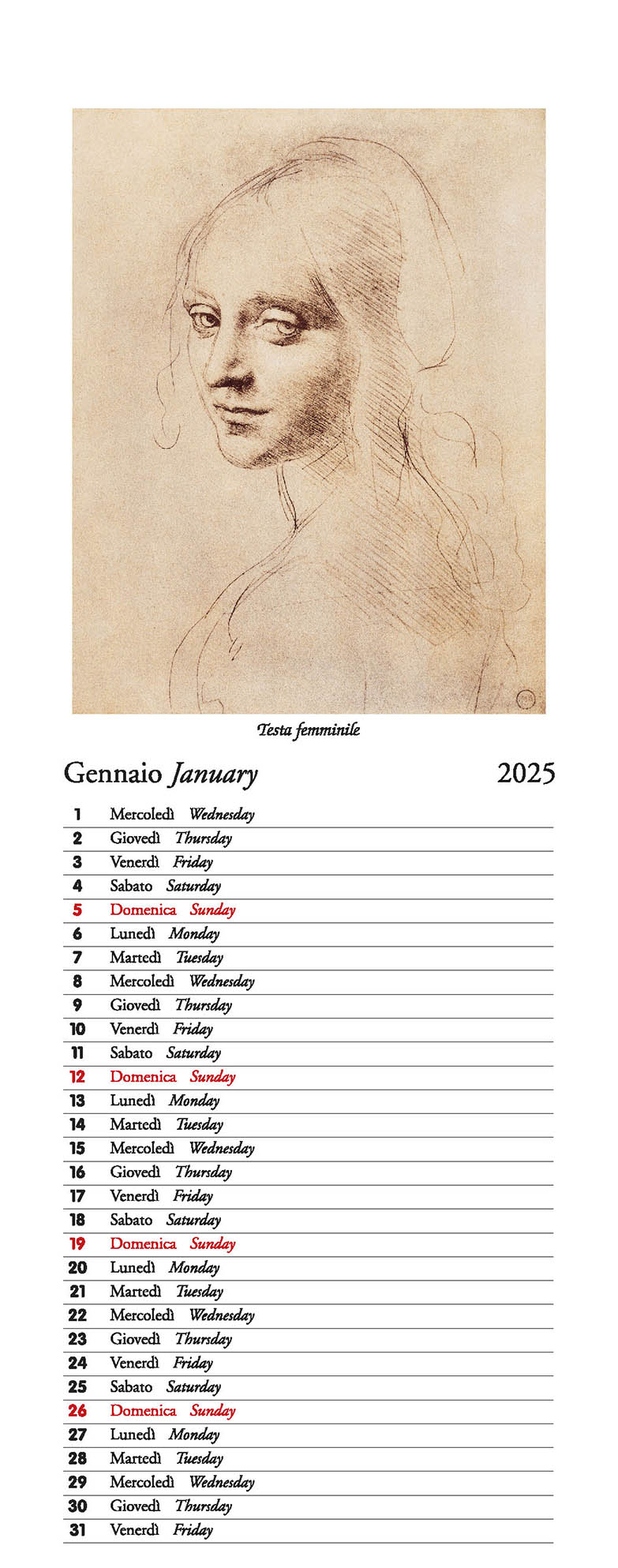 Drawings by Leonardo 2025 